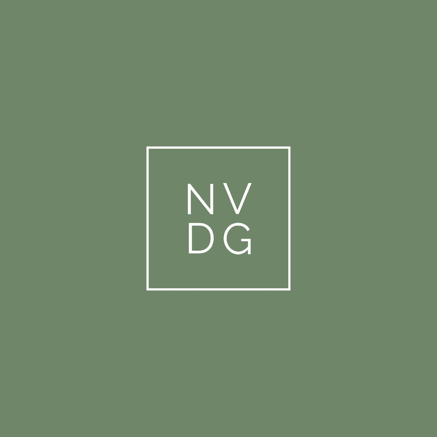 New Vision Development Group logo